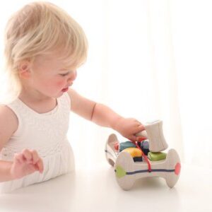 Bio Hamerbank & vormenbox