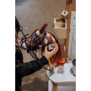 Insectenset voor je speelgoedpaard