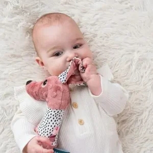 Babybijtring hond