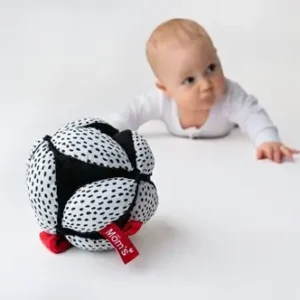 Montessori Babybal